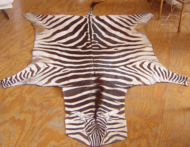 Zebra Skin Rug Vintage