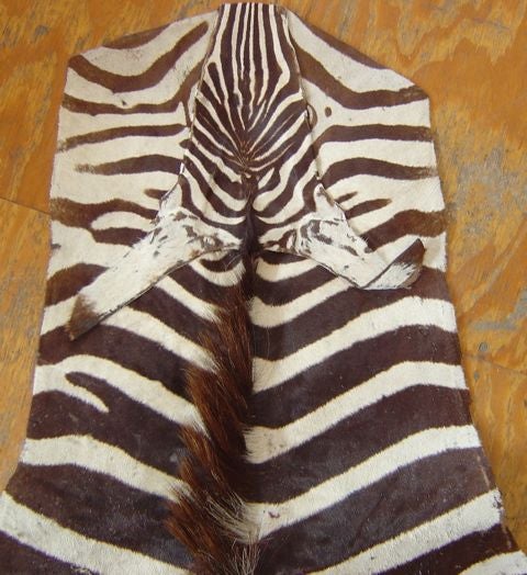 Zebra Hide Zebra Skin Rug Vintage