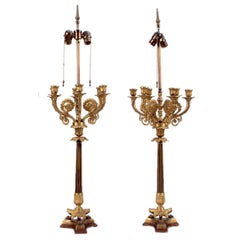 Pair of French Doré Bronze Candelabra Form Lamps