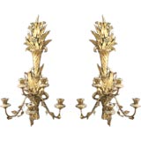 A Pair of Gilt Wood Carved Sconces.