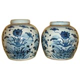 Pair Chinese Ginger Jars
