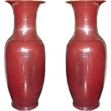 Pair of  Sang de Boeuf Vases