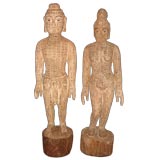 Antique Pair acupuncture models