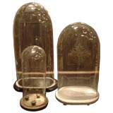Vintage Collection of Curio Glass Domes