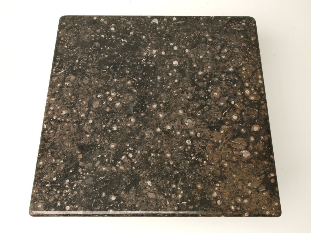 Coffee table with over 65 million year old ammonites from Morocco in the stone top. The base was handmade in France from solid steel and solid brass detail.