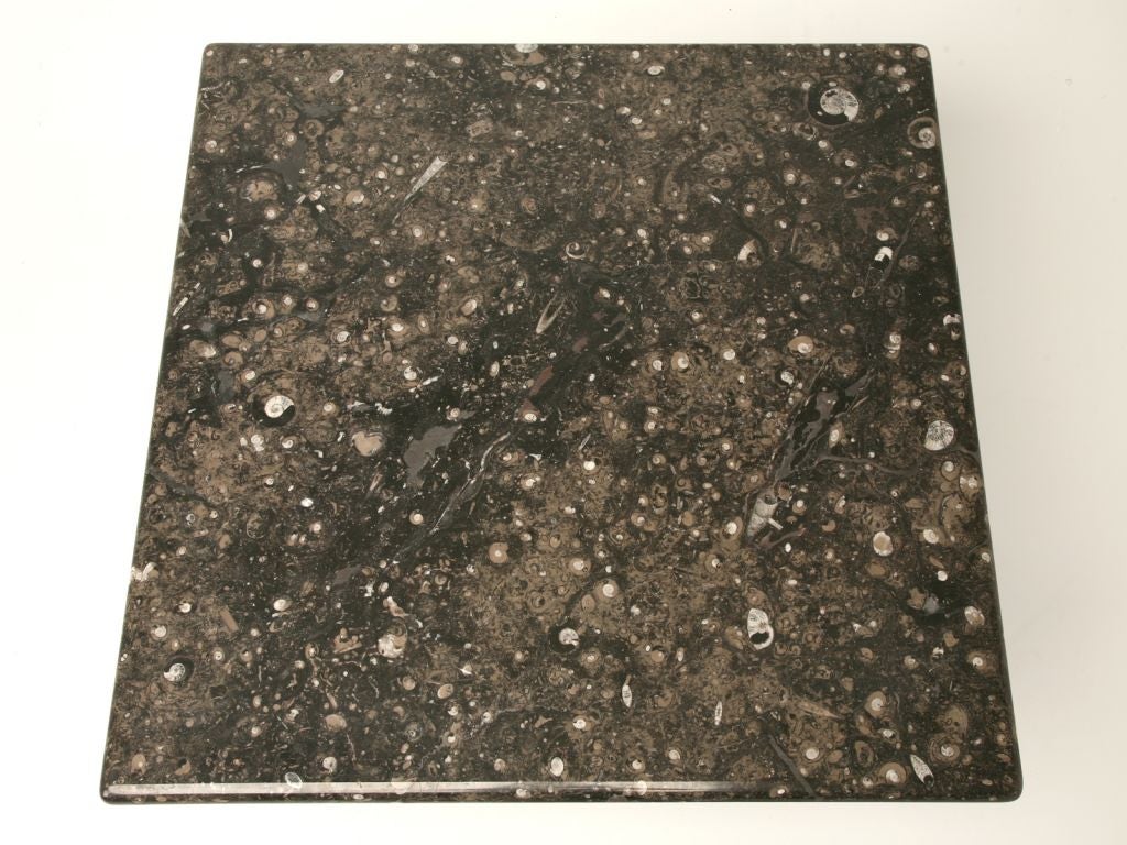 Coffee table with over 65 million year old ammonites from Morocco in the stone top. The base was handmade in France from solid steel and solid brass detail.
