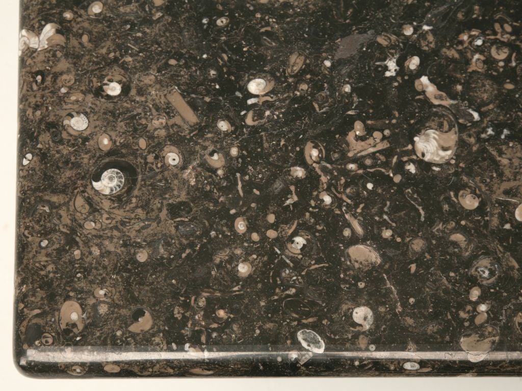 French Steel Coffee Table w/ Polished Fossil Top