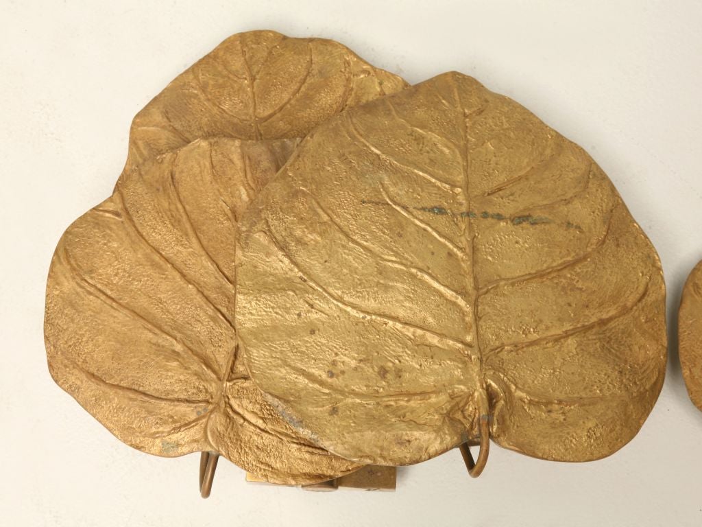 c.1960-1970 Pair of French dore Bronze Palm Leaf Sconces