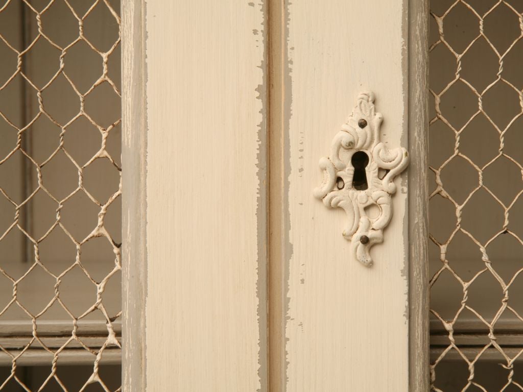 Contemporary Directoire Style Painted Bookcase with Chicken Wire Doors