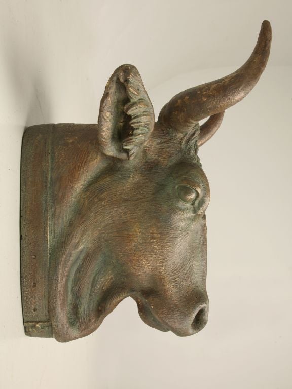 Made in house, this steer head would have hung outside a French butcher shop, but now functions great in a kitchen, or by a barbeque. We own the original cast iron steer and took a casting from it, so we know it is dead accurate.