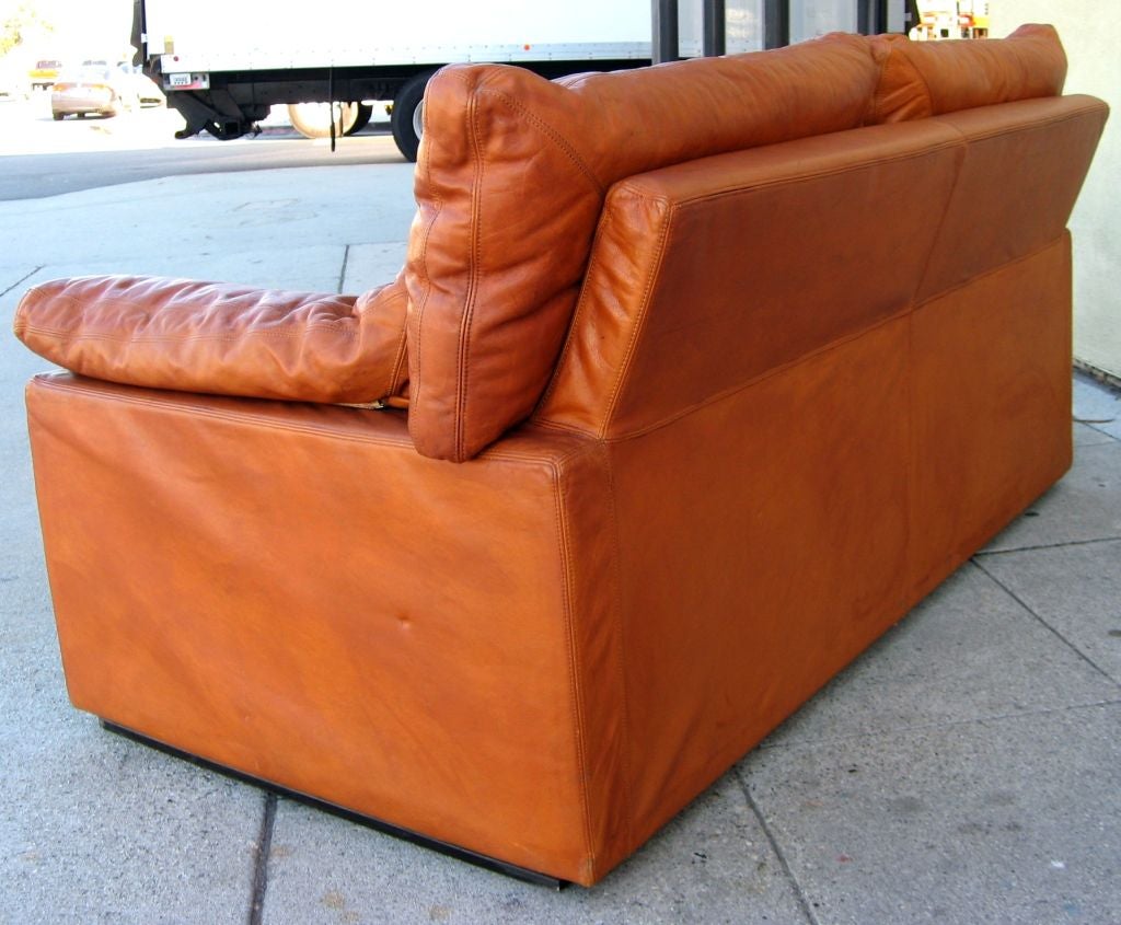 Leather Loveseat by De Sede