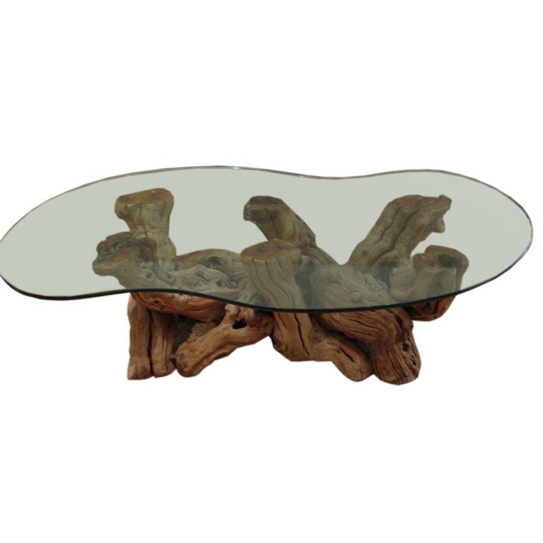 Biomorphic Root Coffee Table.