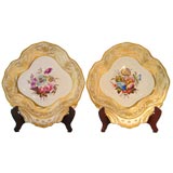 PAIR of Derby Botanical Dishes in Shell Form , c. 1815