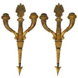 PAIR of Louis XVI Style Gilt-wood Wall Sconces