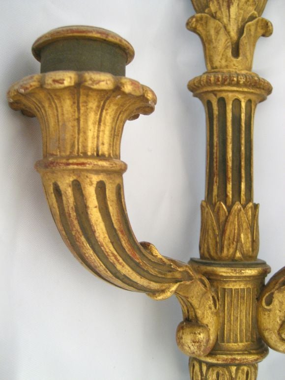 PAIR of Louis XVI Style Gilt-wood Wall Sconces