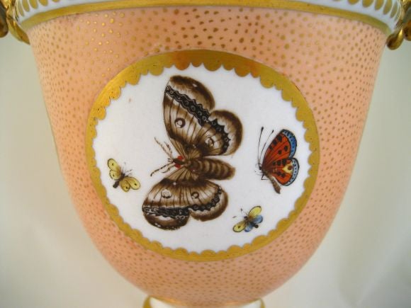 RARE Coalport "Butterflies" Vase c. 1810