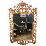 Oversized Hand Carved Gilt wood Mirror