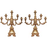 A Pair of Italian Late Baroque Five Light  Giltwood Candelabra
