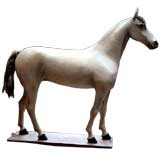 A Magnificent Polychrome White Stallion