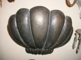 Large shell shaped sconces