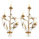 Pair of Gilded Metal Wall Sconces