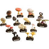 Ensemble de 13 formes de champignons