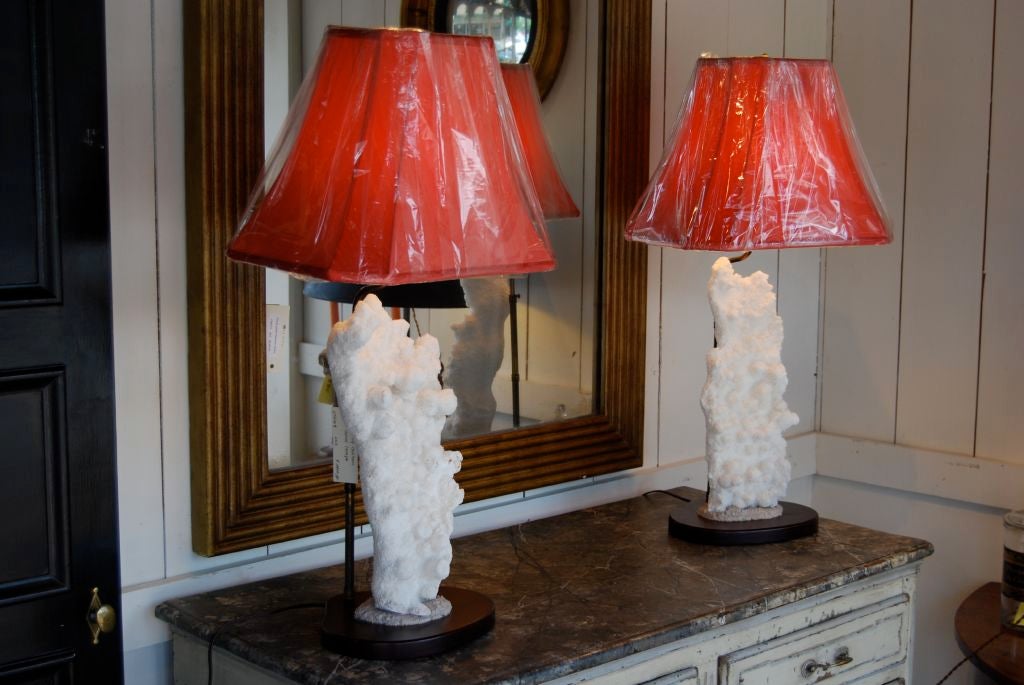 Pair of Coral  Lamps
