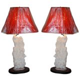 Pair of Coral  Lamps