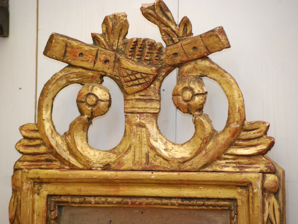 Gilded Mirror
