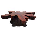 Tree root table with Heavy Clear Lacquer Finish