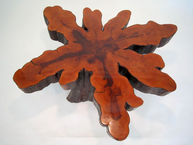 Tree root table with Heavy Clear Lacquer Finish