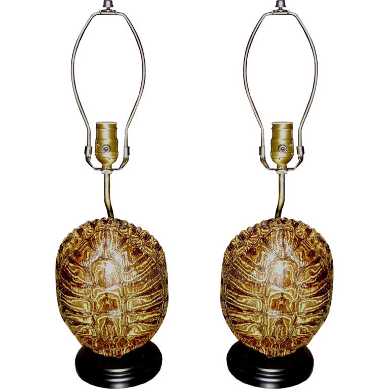 Pair of Turtle shell lamps mounted on black bases