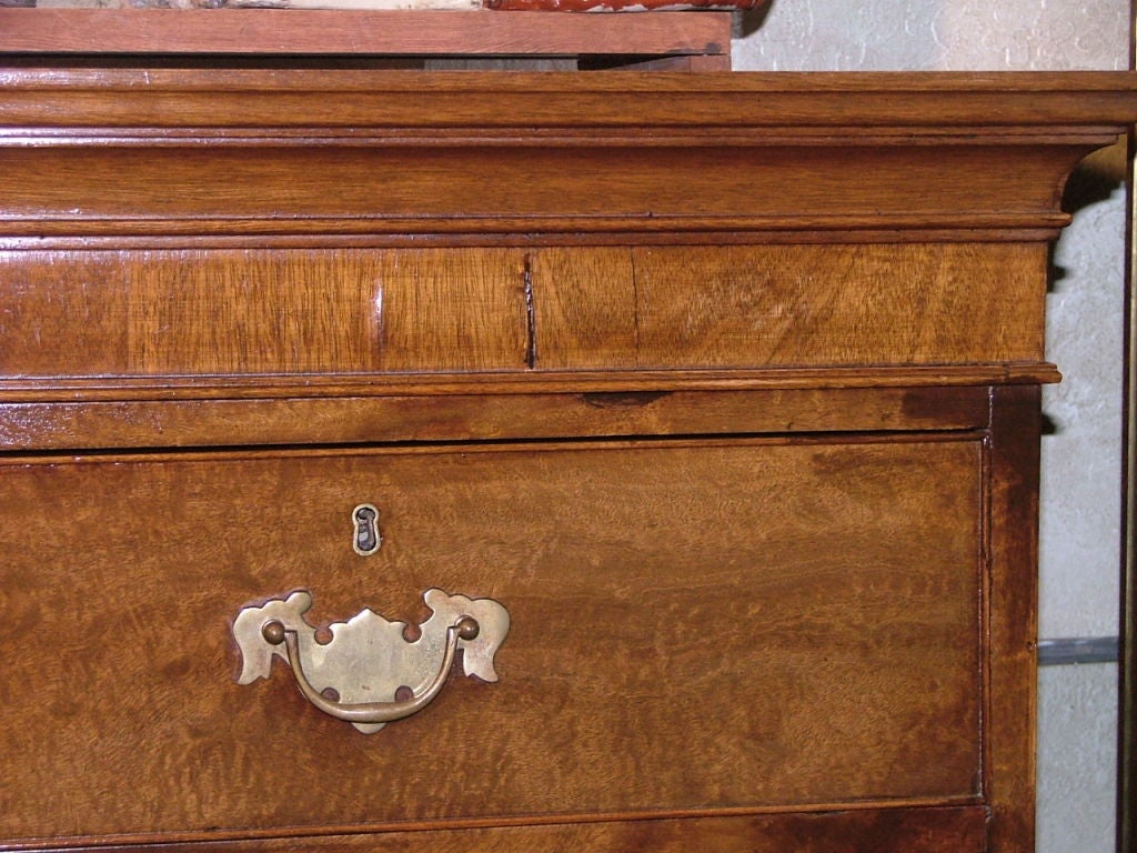 19th Century George III Tallboy