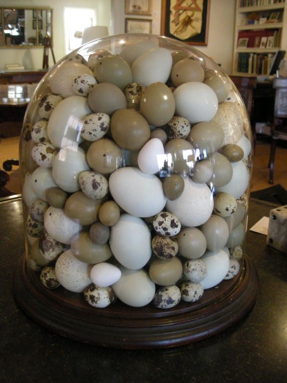 Large 19th century glass dome filled with game birds' eggs in various colors--primarily light blue, taupe, speckled and mocha.