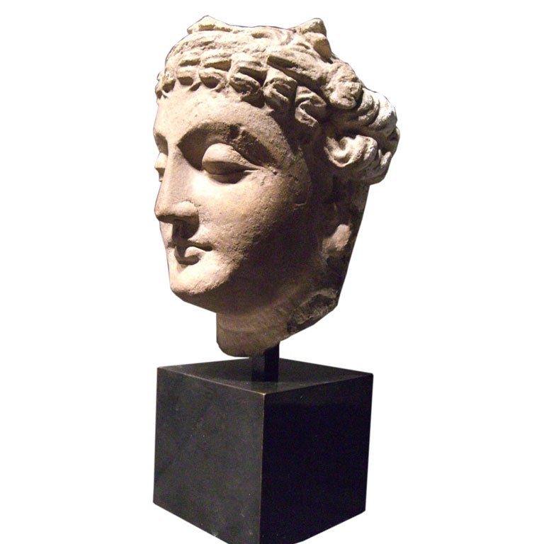 A Gandhara Stucco Head of Bodhisattva