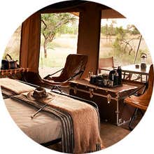 Out of Africa