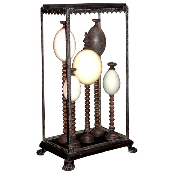 Egg Display Case For Sale at 1stDibs