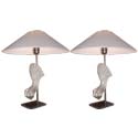 Pair of Shell Griffon Table Lamps