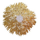 18kt Gold and Diamond Ray Brooch