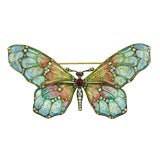 Antique Plique-à-jour Enamel Butterfly Brooch