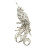 Diamond 
Ruby Bird Pendant