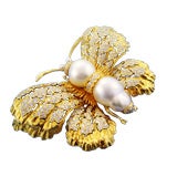 Contemporary Butterfly Pin Contemporary Butterfly Pin