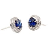 Boucles d'oreilles en platine:: saphir et diamant