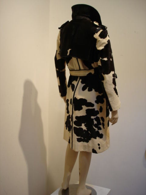 Cow print calfskin belted trench coat silk lined with epaulets and silver buttons with leather back detail.