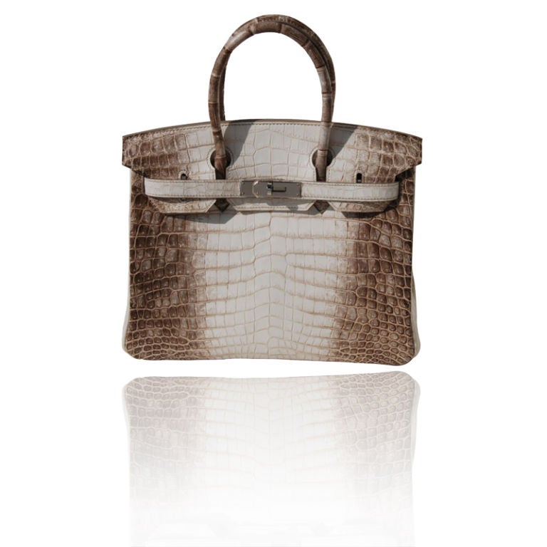 30cm Hermes Himalayan Crocodile Birkin For Sale at 1stDibs