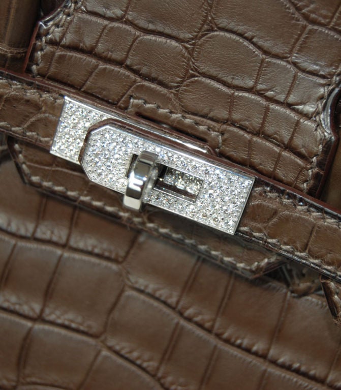 hermes elephant skin bag