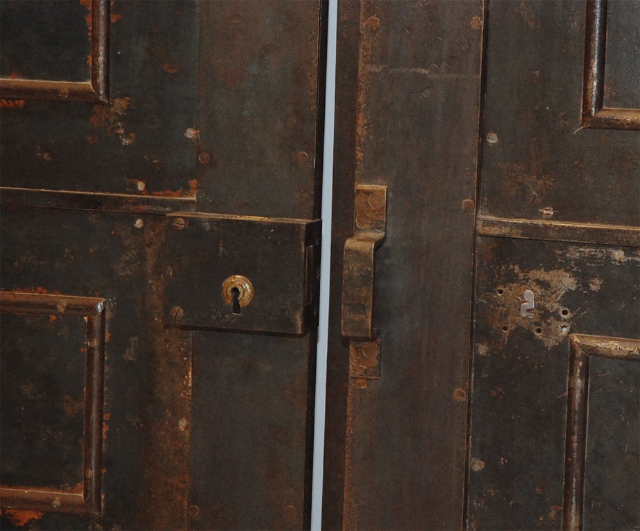 Antique Pair of Metal Doors For Sale 1