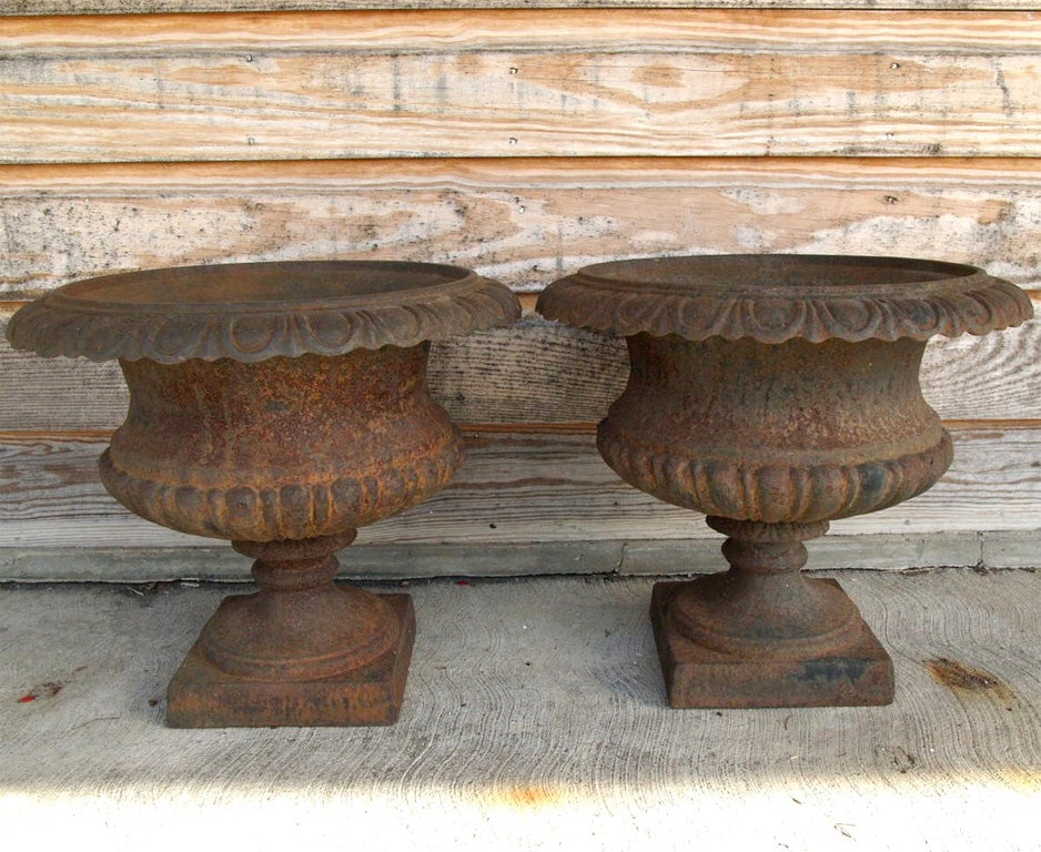 A pair of cast iron urns with egg and dart rim. Both in excellent condition.<br />
Square base (bottom) measures 9