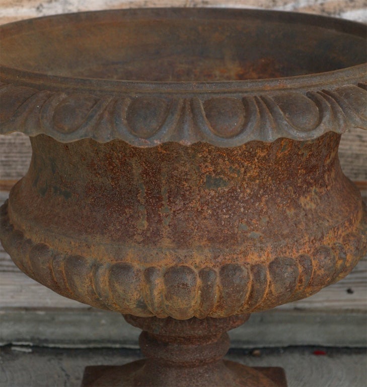 Pair of Cast Iron Urns In Excellent Condition For Sale In New Orleans, LA