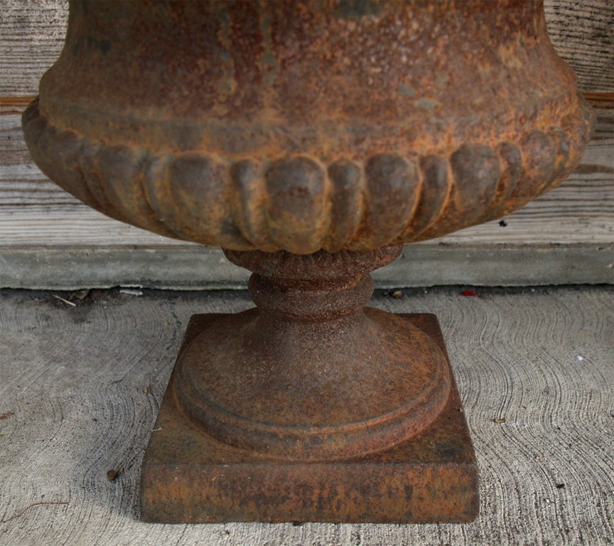 Pair of Cast Iron Urns For Sale 1